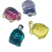 Fluorite Turtle