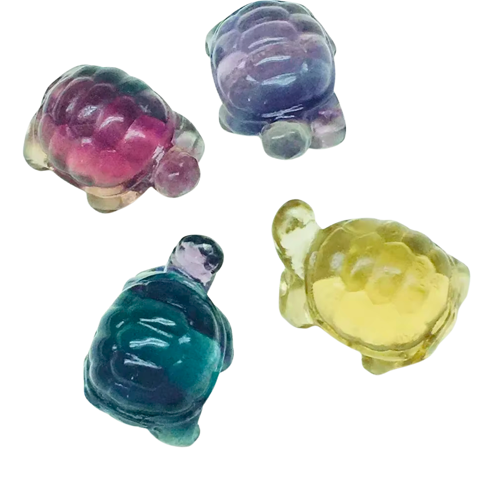 Fluorite Turtle