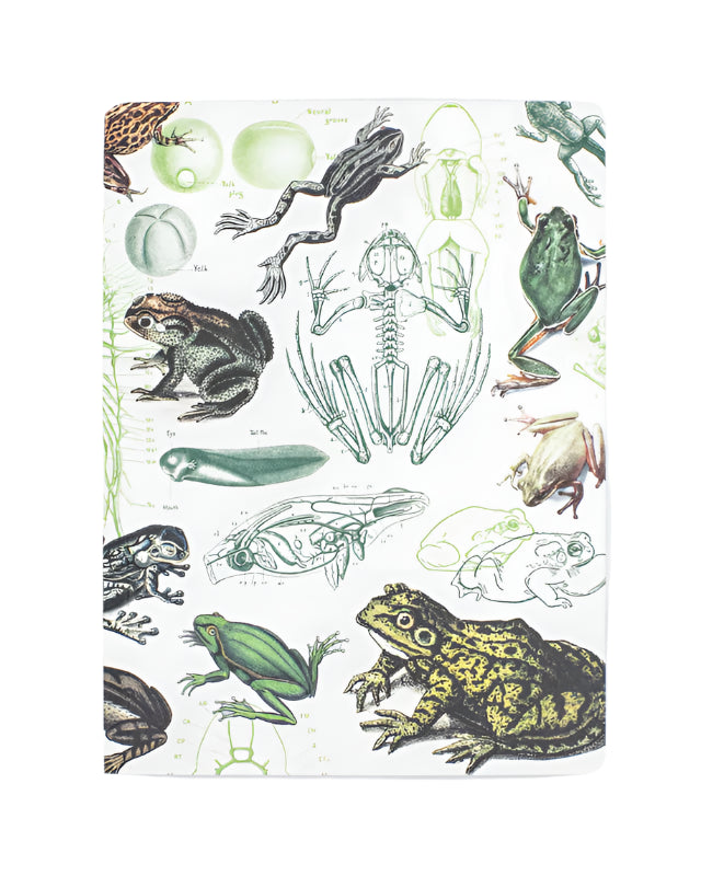 Frogs & Toads Softcover Experiment Notebook