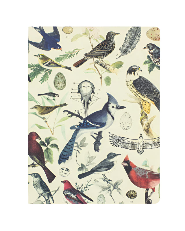 Ornithology Softcover Experiment Notebook