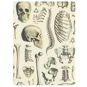 Skeleton Softcover Experiment Notebook