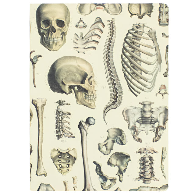 Skeleton Softcover Experiment Notebook