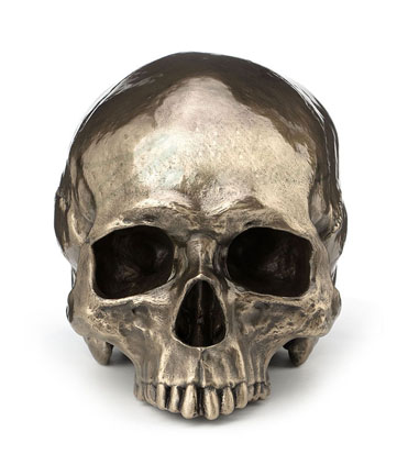Steampunk Craniumography Jawless Skull
