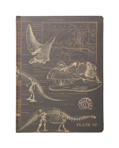 Brown Dinosaur Bones Paleontology Hardcover Dark Matter Notebook