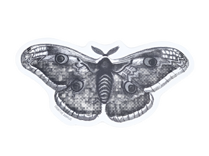 Moth Sticker