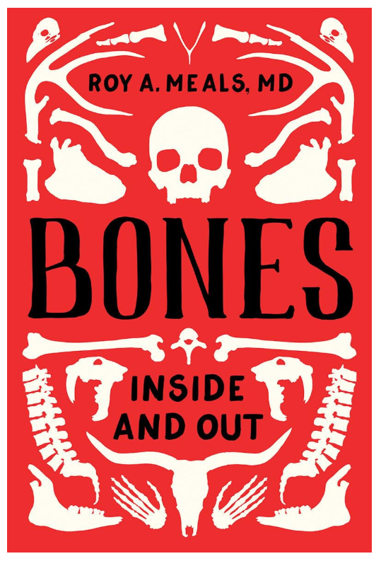 Bones: Inside and Out