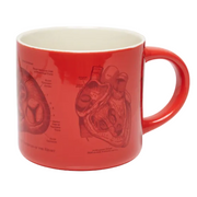 Heart Anatomy Ceramic Mug