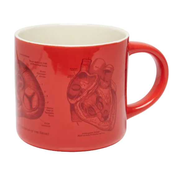 Heart Anatomy Ceramic Mug