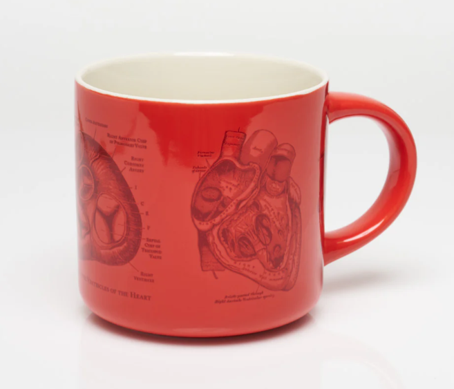 Heart Anatomy Ceramic Mug