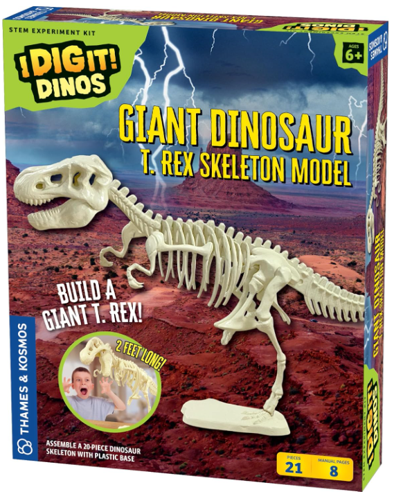 Giant Dinosaur Skeleton Kit