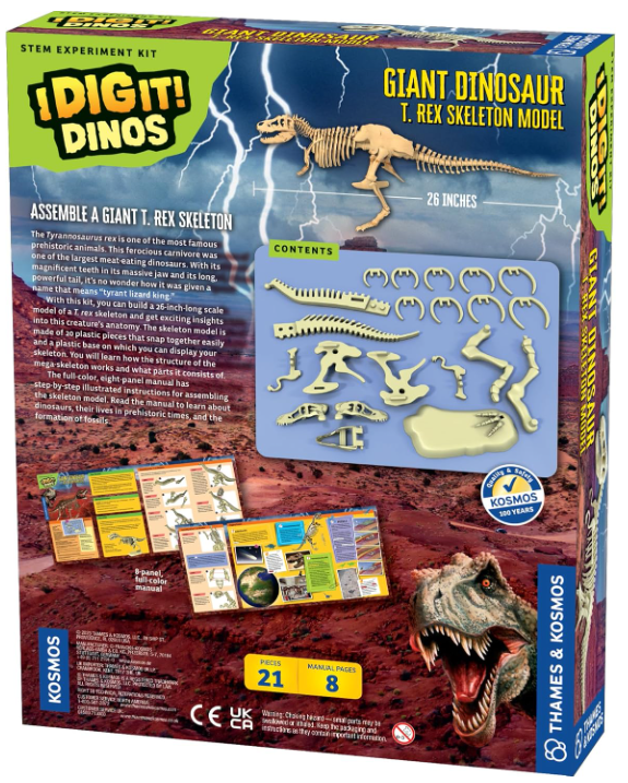 Giant Dinosaur Skeleton Kit