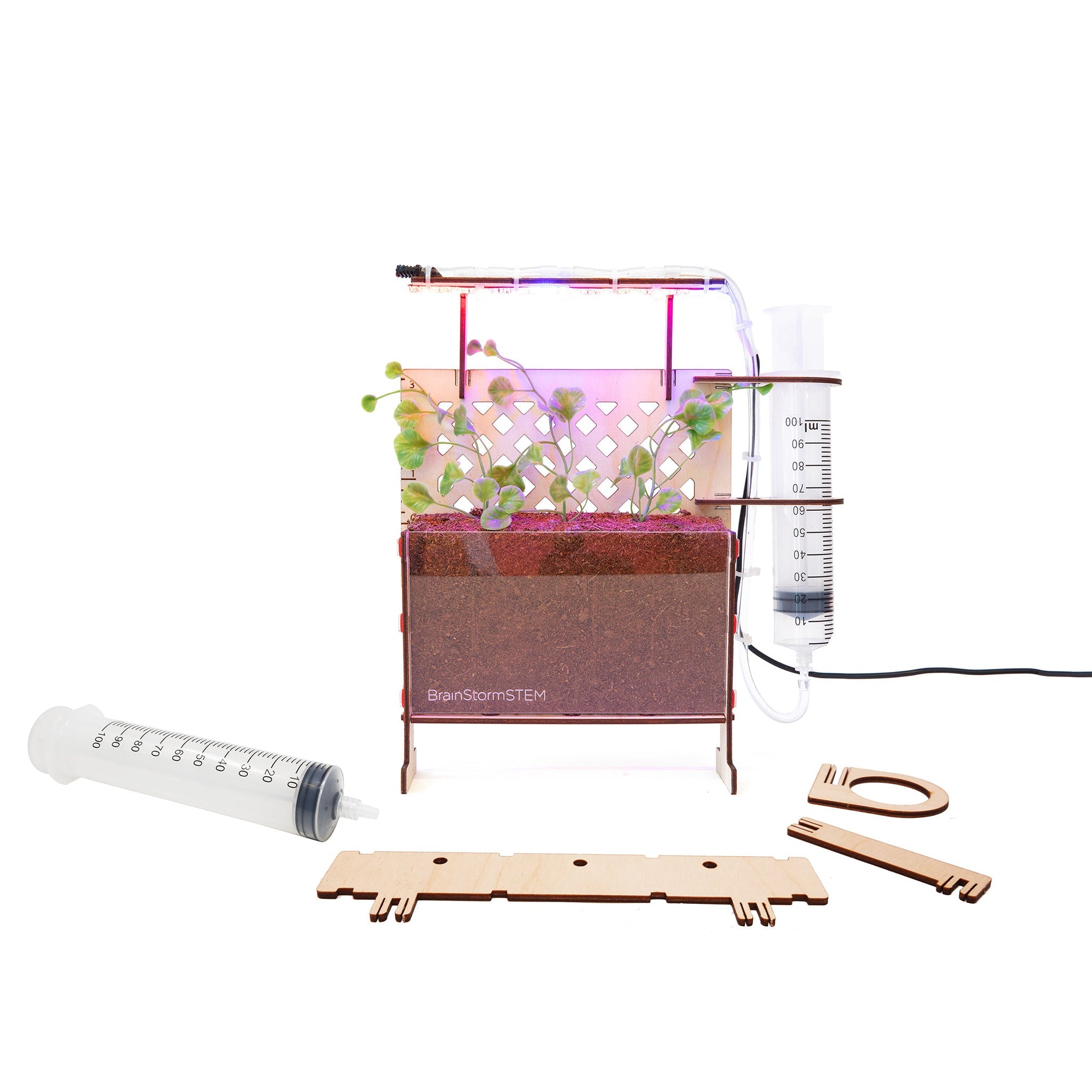 BrainStorm Seed Science STEM Kit