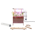 BrainStorm Seed Science STEM Kit