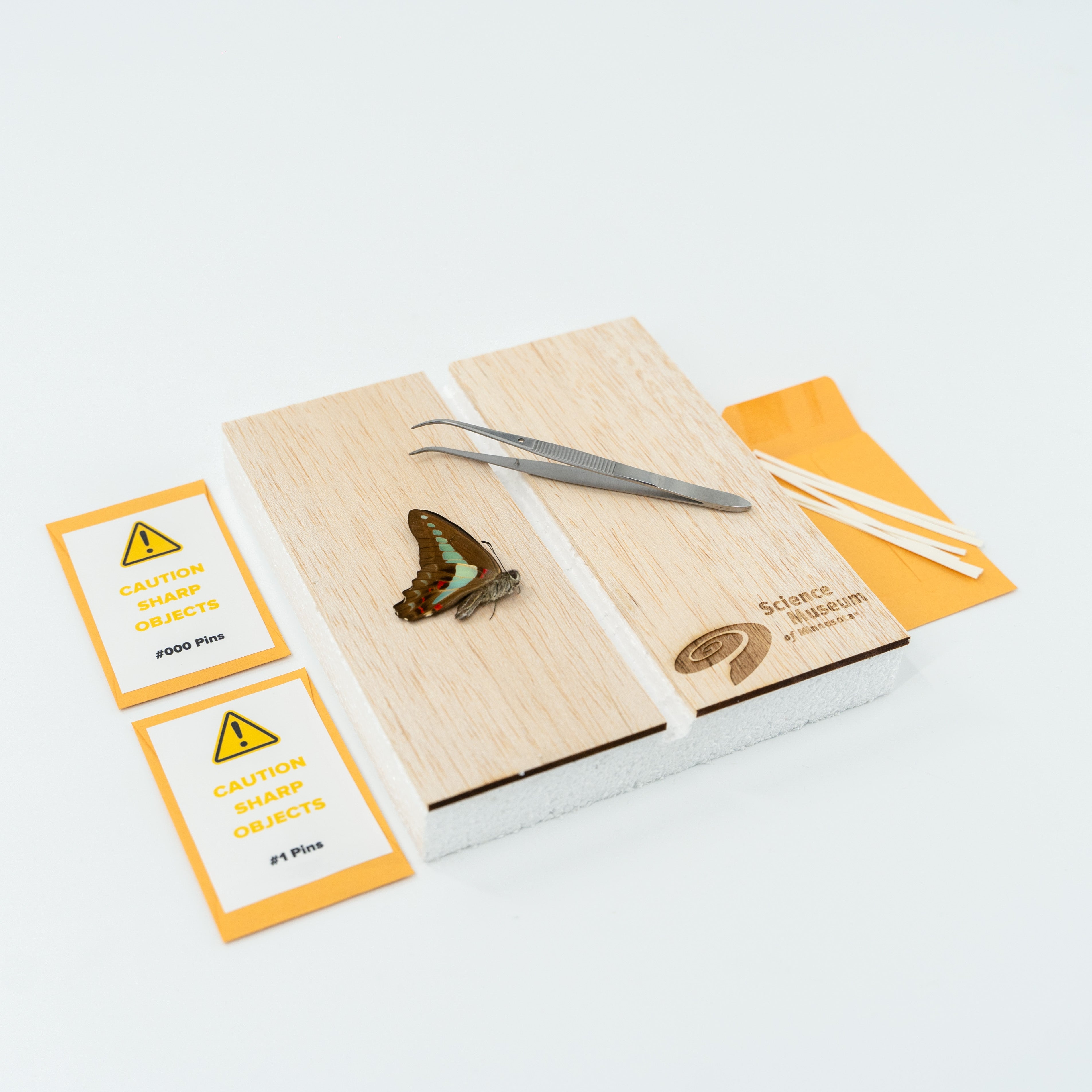 Science Museum of Minnesota Entomology STEM Pinning Kit