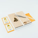 Science Museum of Minnesota Entomology STEM Pinning Kit