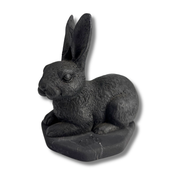 Shungite Rabbit