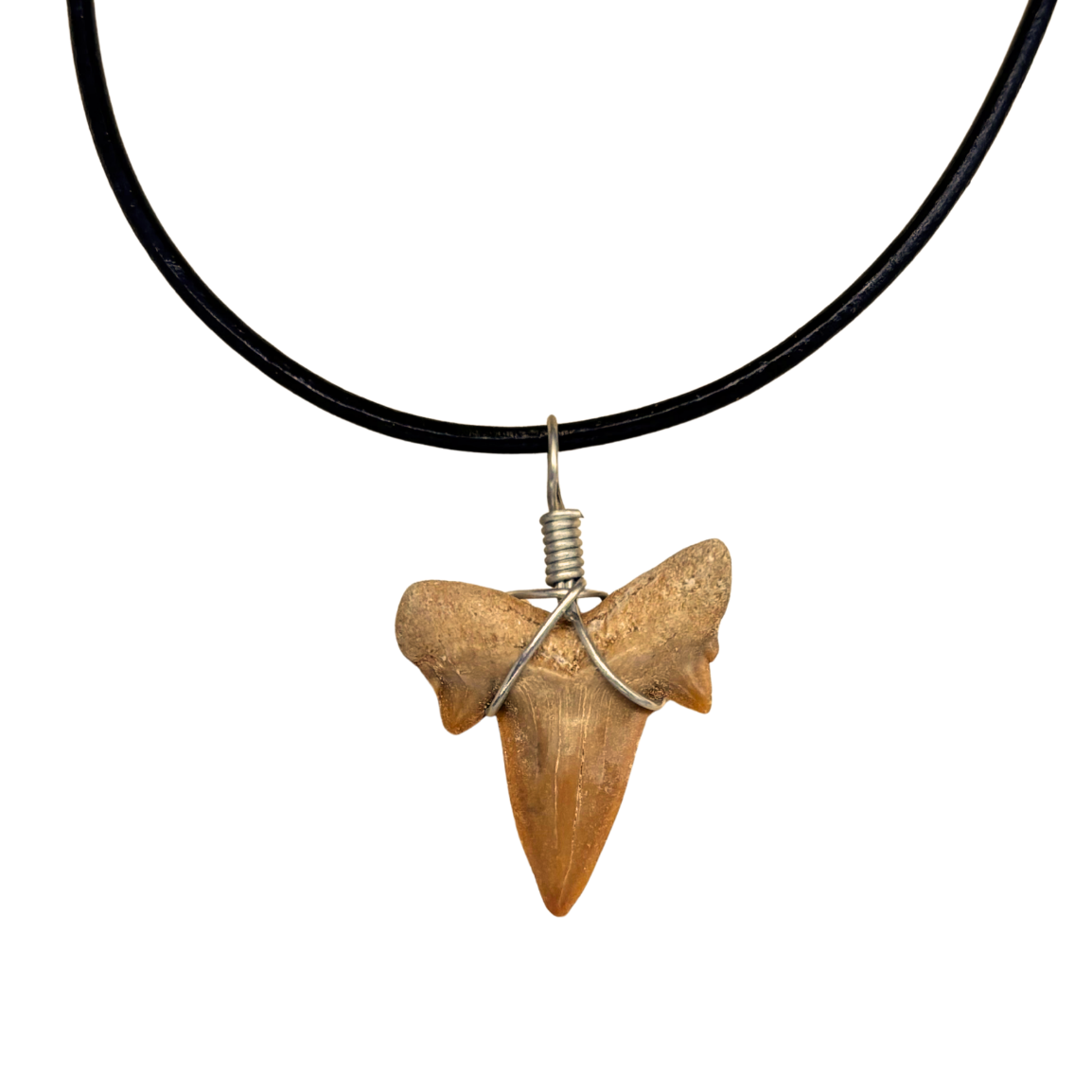 Shark Tooth Necklace