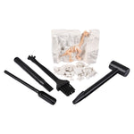 Dinosaur Fossil Dig Set