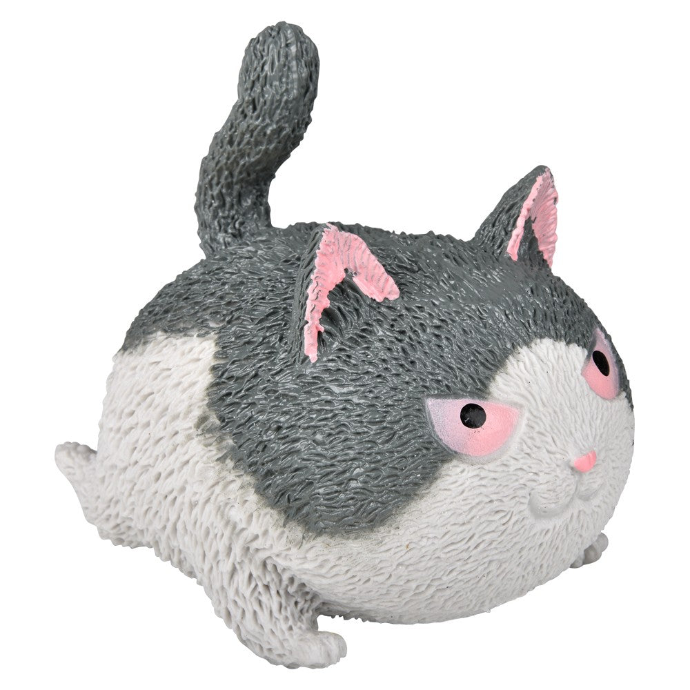 Squishy Cat