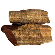 Tiger's Eye $5.00