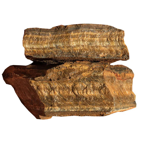 Tiger's Eye $5.00