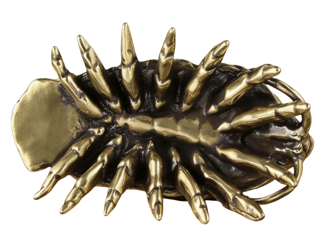 Large Brass Isopod