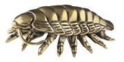 Large Brass Isopod