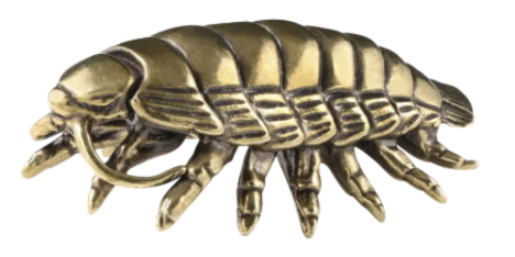 Large Brass Isopod