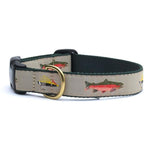 Fly Fishing Dog Collar & Leash Set