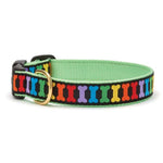 Rainbones Dog Collar & Leash Set