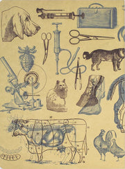 Veterinary Science Softcover Experiment Notebook