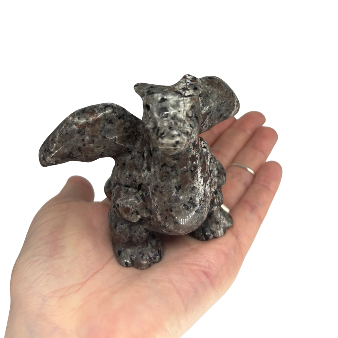 Large Yooperlite Charizard