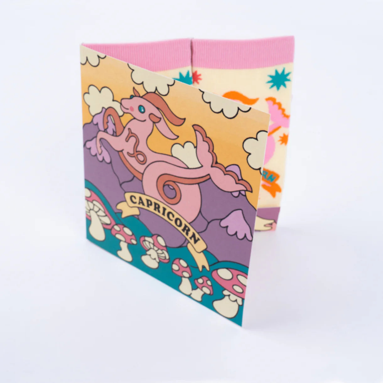 Zodiac Constellation Gift Socks