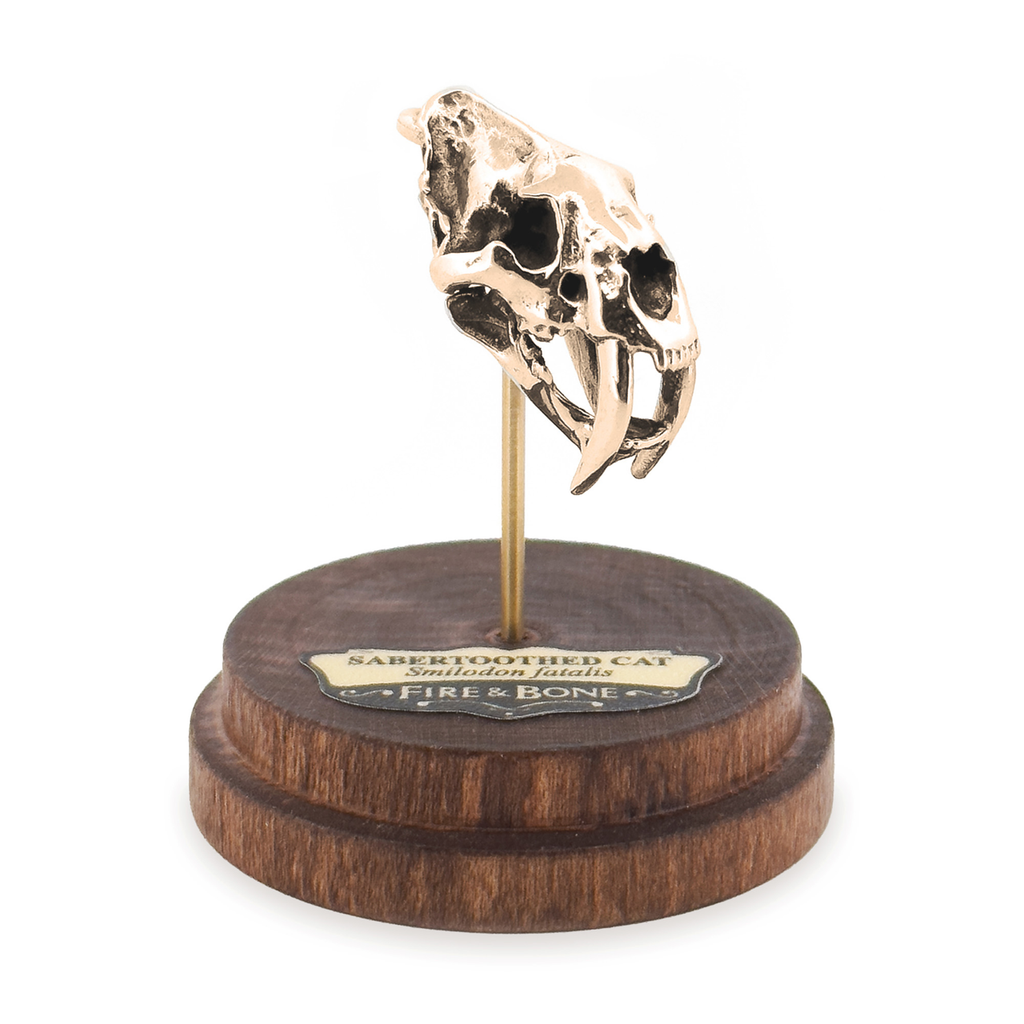 Sabertoothed Cat Necklace with Display Stand