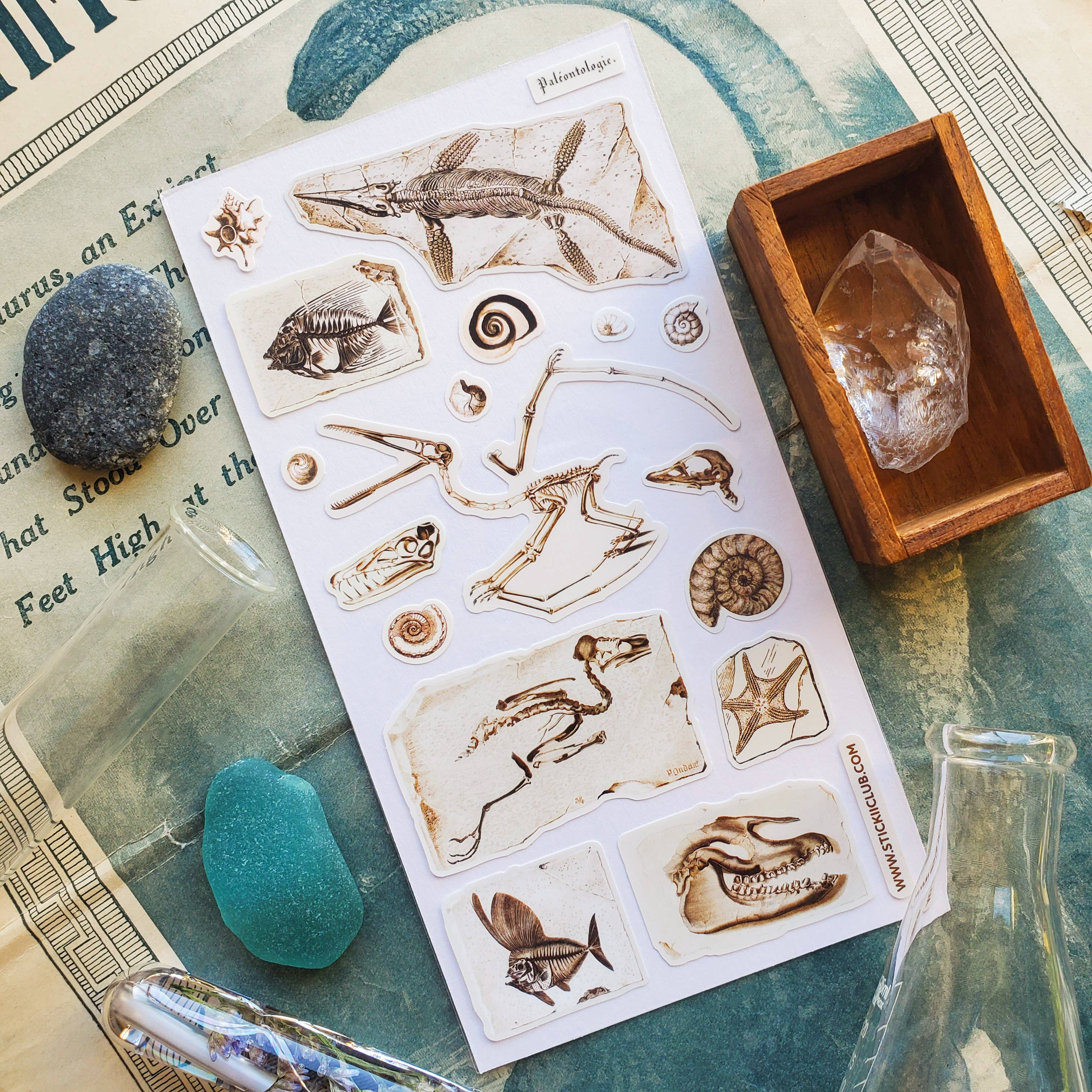 Fascinating Fossils Sticker Sheet