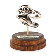 Tyrannosaurus Rex Necklace with Display Stand