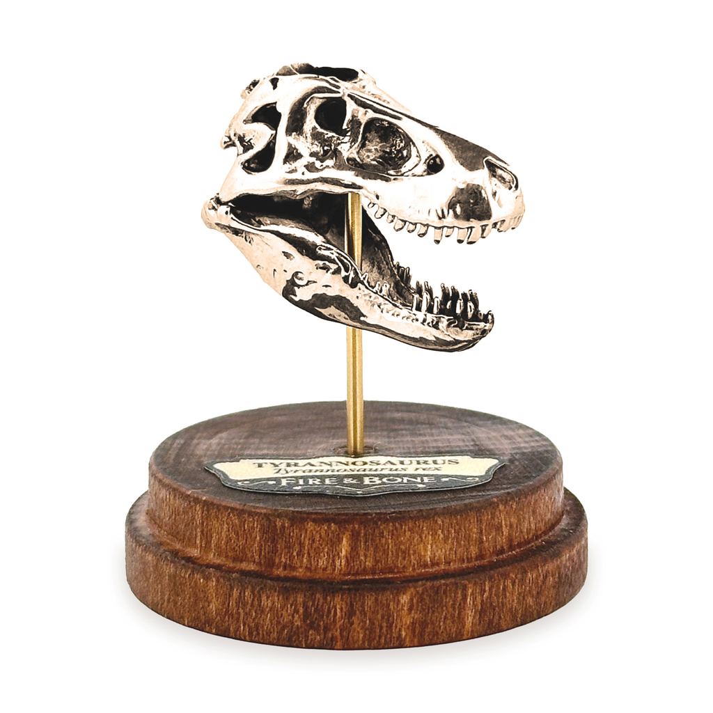 Tyrannosaurus Rex Necklace with Display Stand