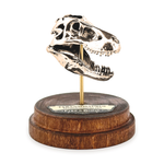 Tyrannosaurus Rex Necklace with Display Stand