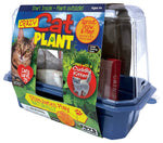 Crazy Cat Plant Mini World Terrarium