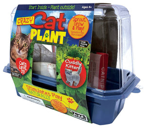 Crazy Cat Plant Mini World Terrarium