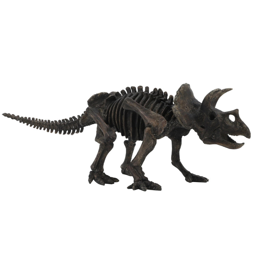 Large Triceratops Dinosaur Fossil Replica