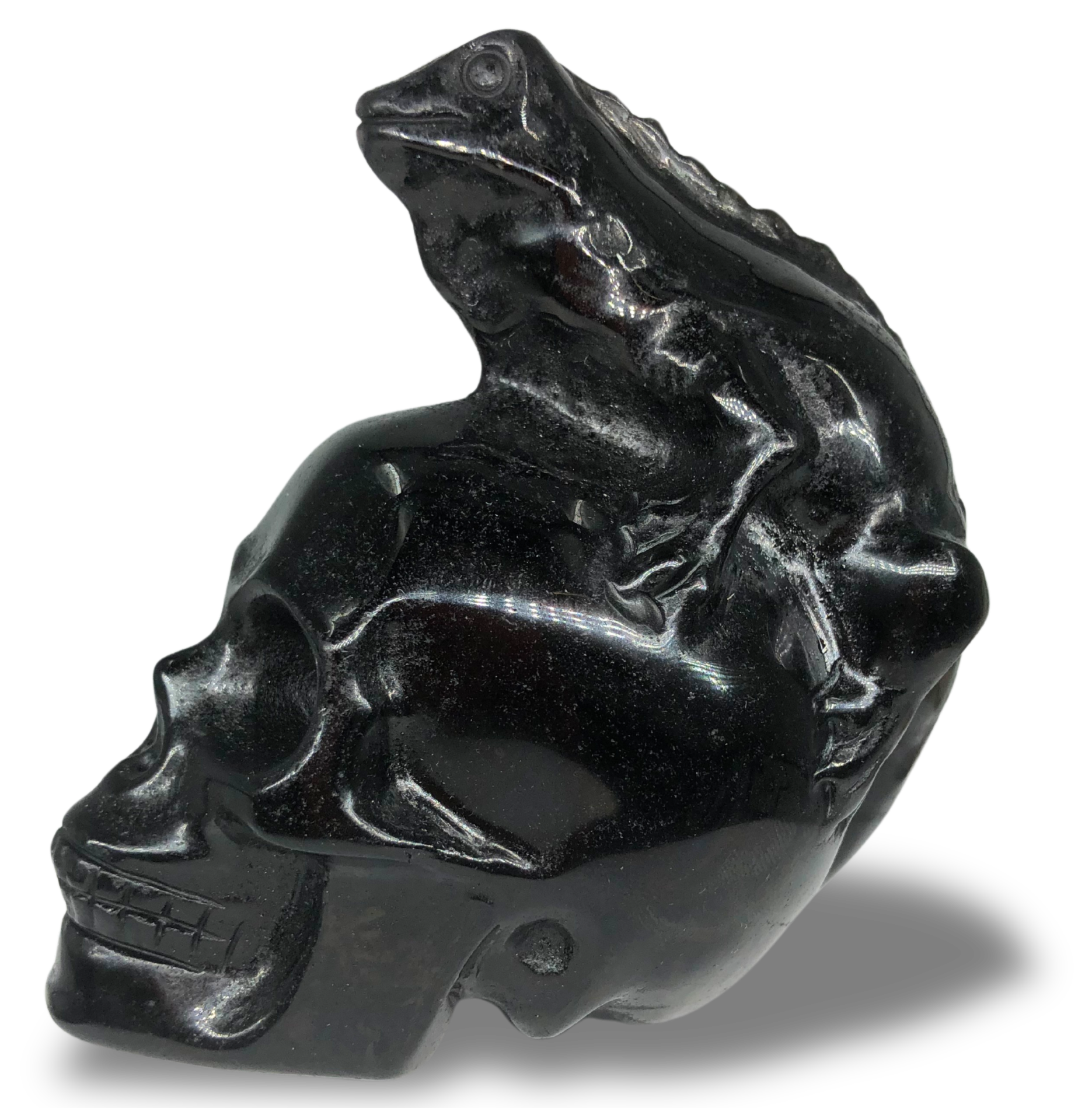 Obsidian Skull with Reptile Sculpture $80.00