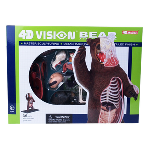 Bear 4D Vision Anatomy Model