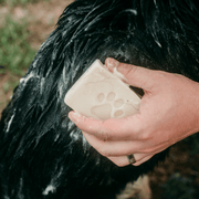 Pet Shampoo Bar