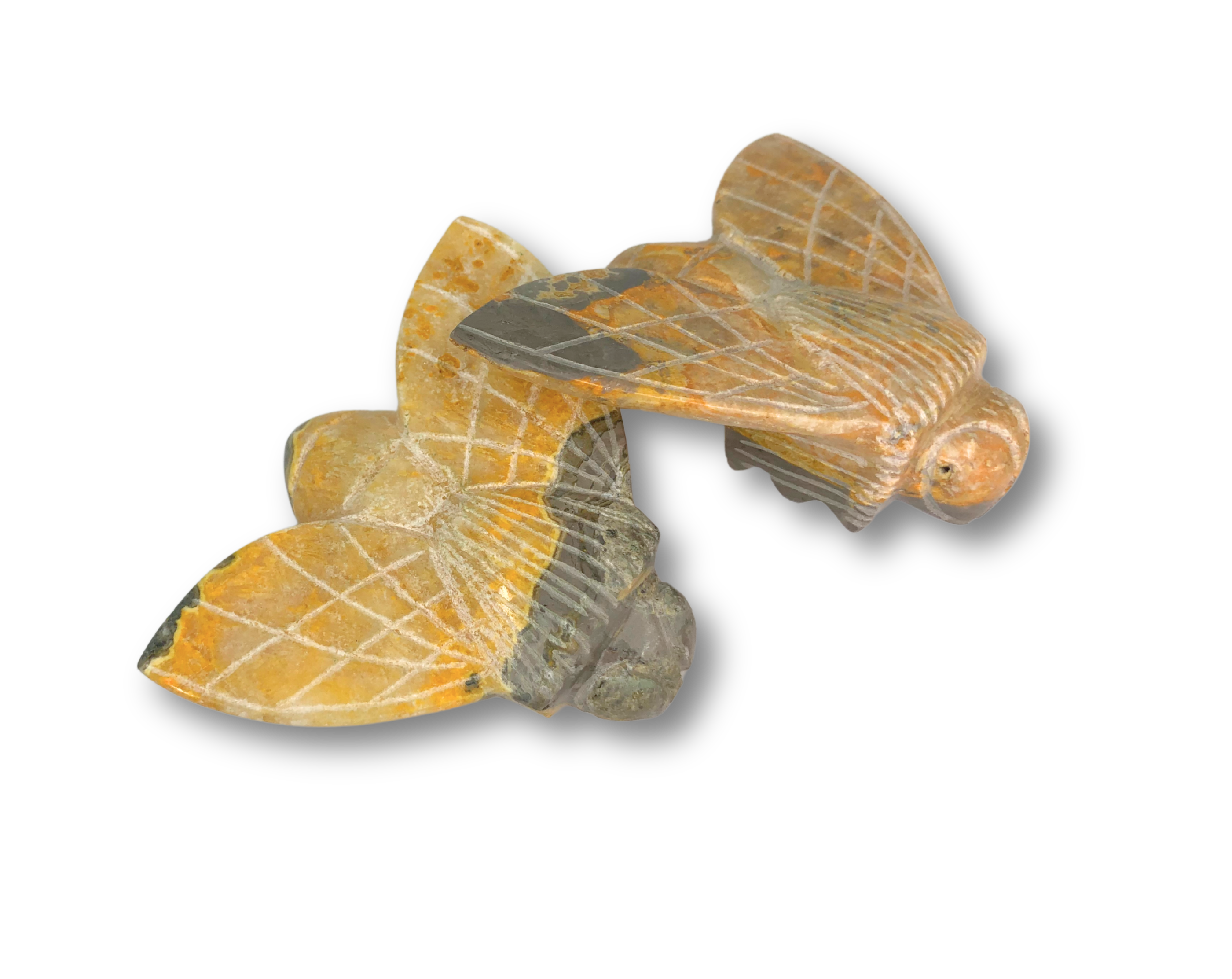 Bumblebee Jasper Bumblebee $45