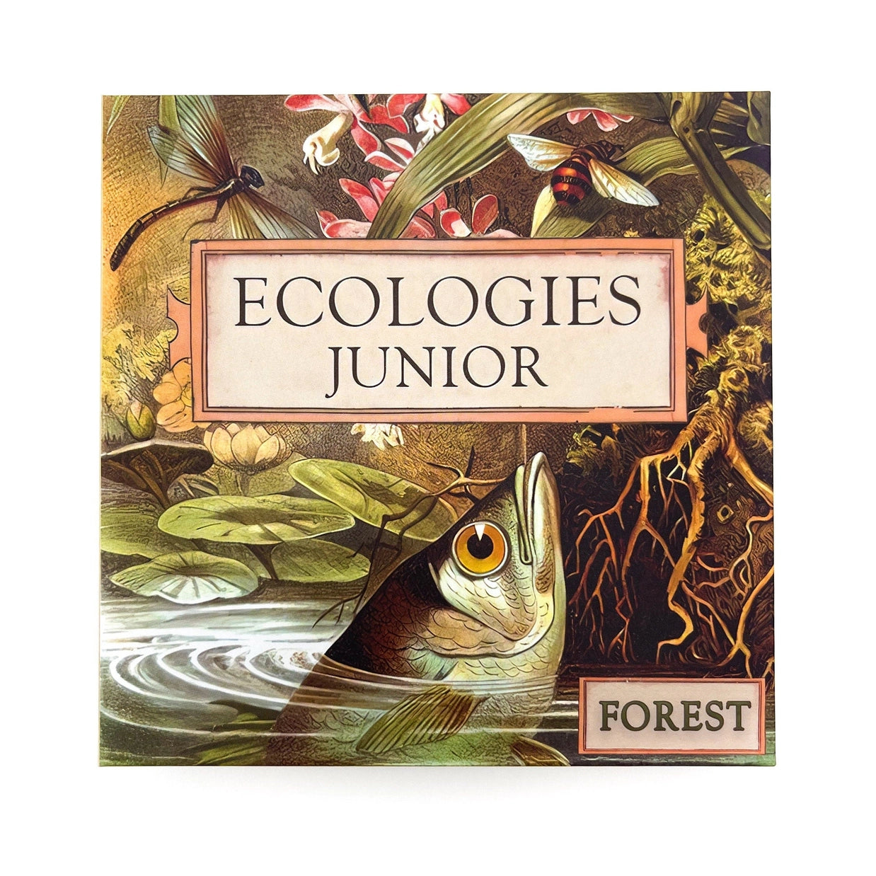 Ecologies: Junior Forest Card Game