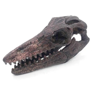 Mosasaurus Mini Skull Replica