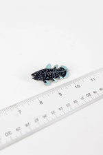 Coelacanth Enamel Pin