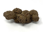 Coprolite Petrified Prehistoric Poop $10