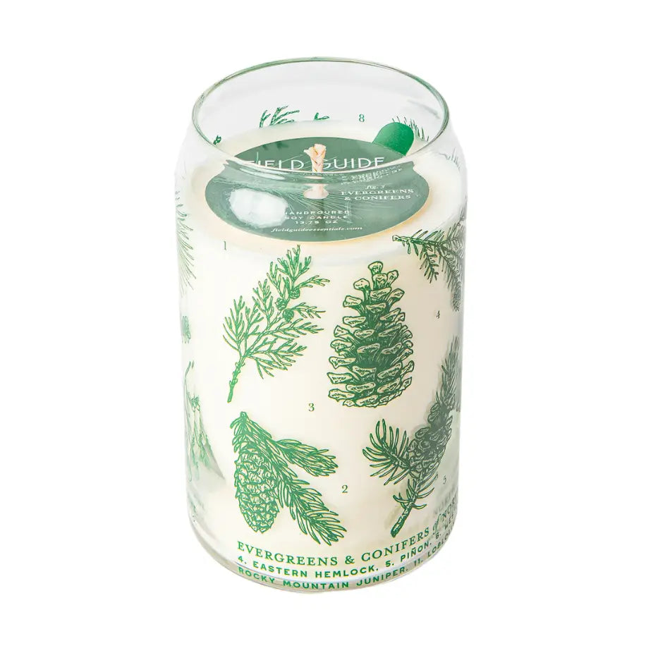 Evergreens & Conifers Field Guide Soy Candle